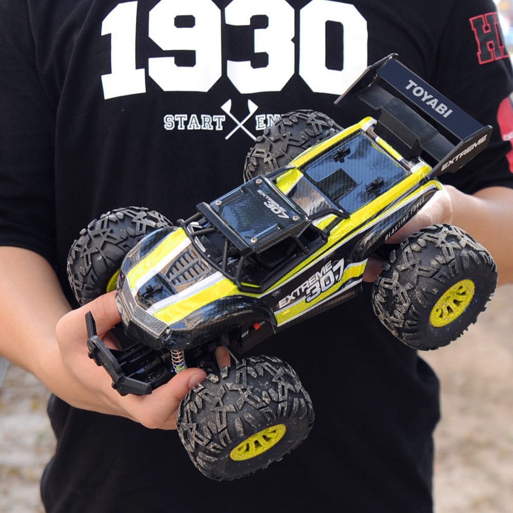 Toyabi store rc car