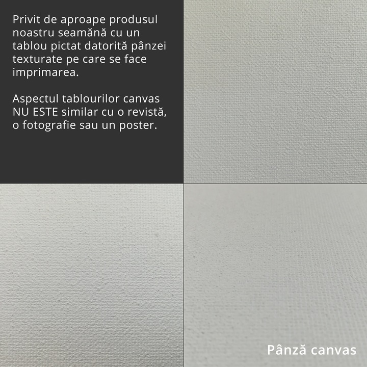 Tablou Canvas Print Shop - Cirese, Alimentatie, Fructe - 135 x 90 cm