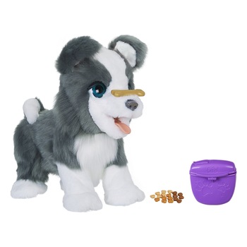 Imagini FURREAL FRIENDS FURREAL-PUP - Compara Preturi | 3CHEAPS