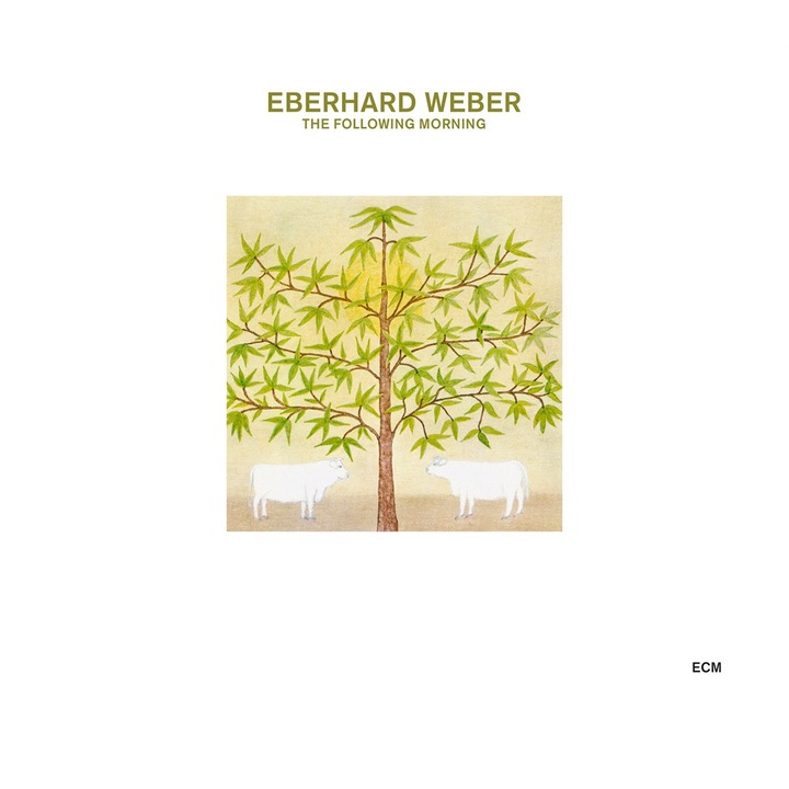 Eberhard Weber - Following Morning - CD Cardboard Sleeve