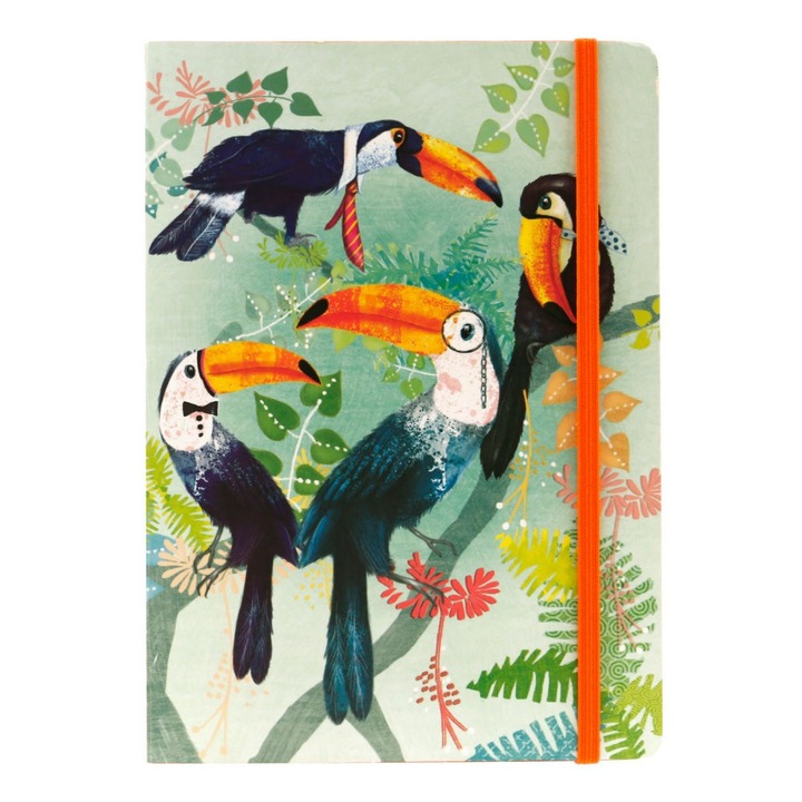 Notebook A5 Santoro - Toucans