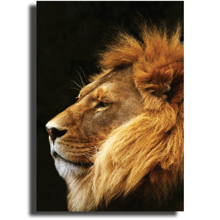 Tablou Canvas, LION, 50 x 70cm