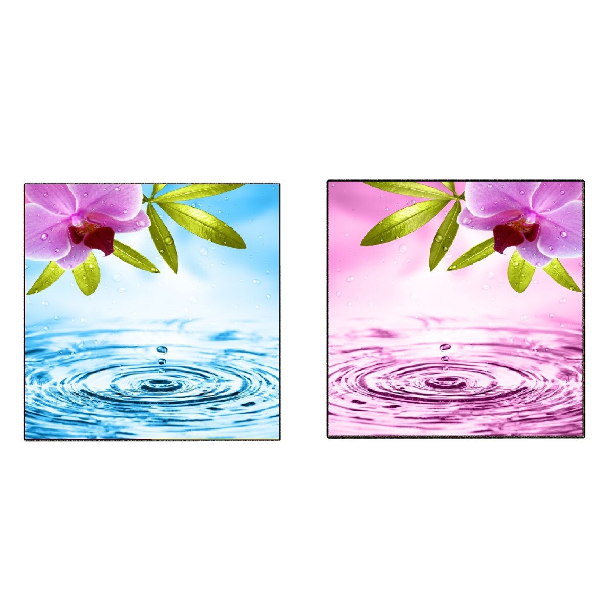 Tablou canvas 2 piese patrat flori 1 (60 x 60 cm)