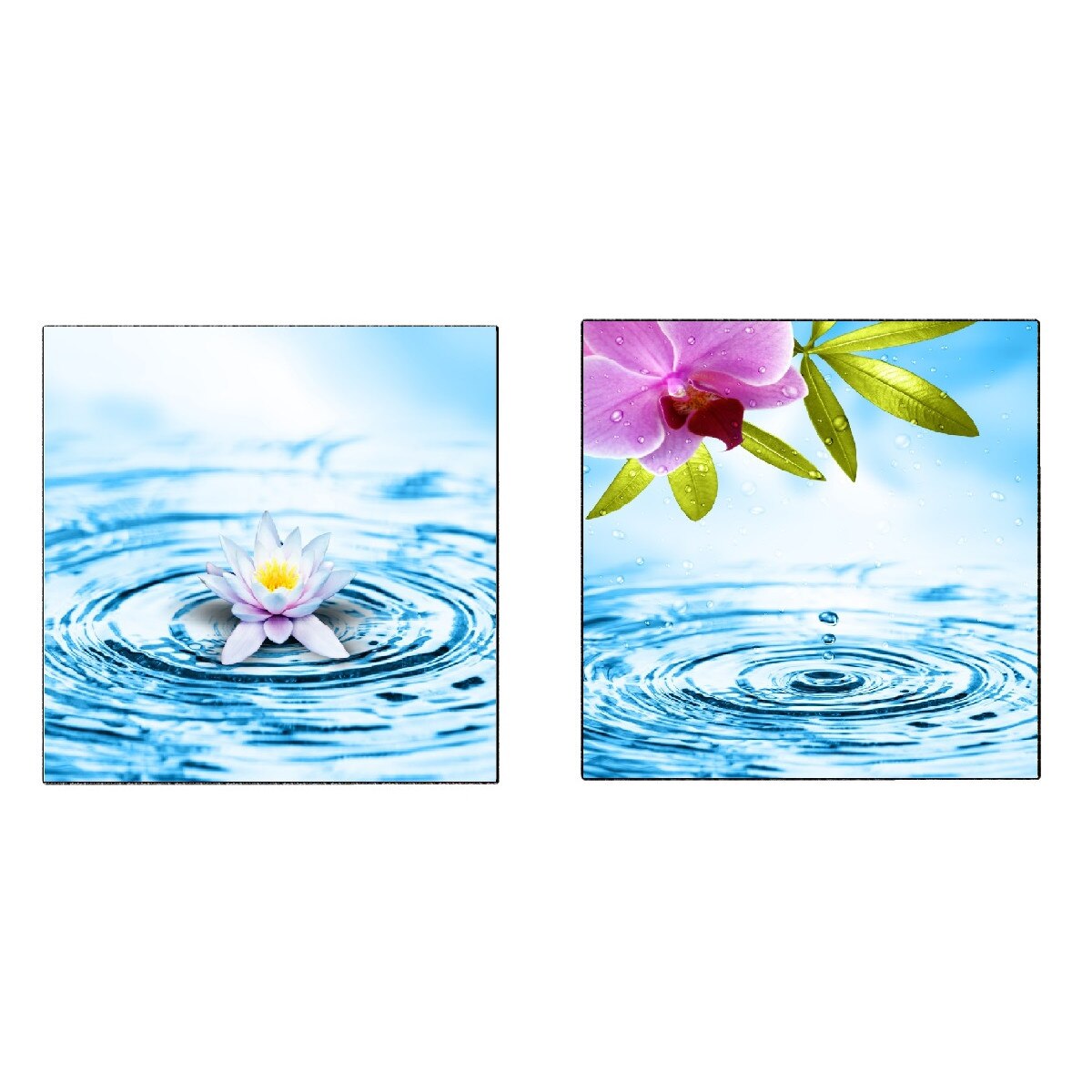 Tablou canvas 2 piese patrat flori 2 (70 x 70 cm)