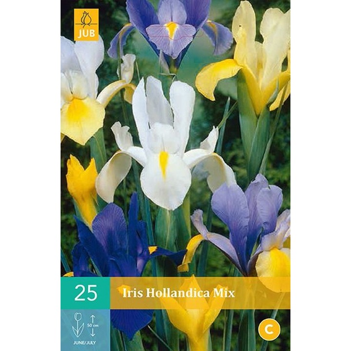 Bulbi Iris Hollandica Mix, Holland, 25 buc