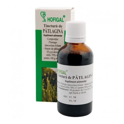 Tinctura Patlagina Hofigal 50ml