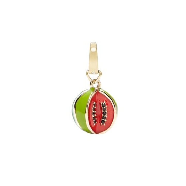 Pandantiv Fossil Charms JF00685710, Multicolor