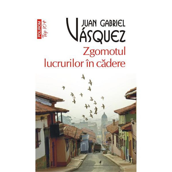 Zgomotul lucrurilor in cadere