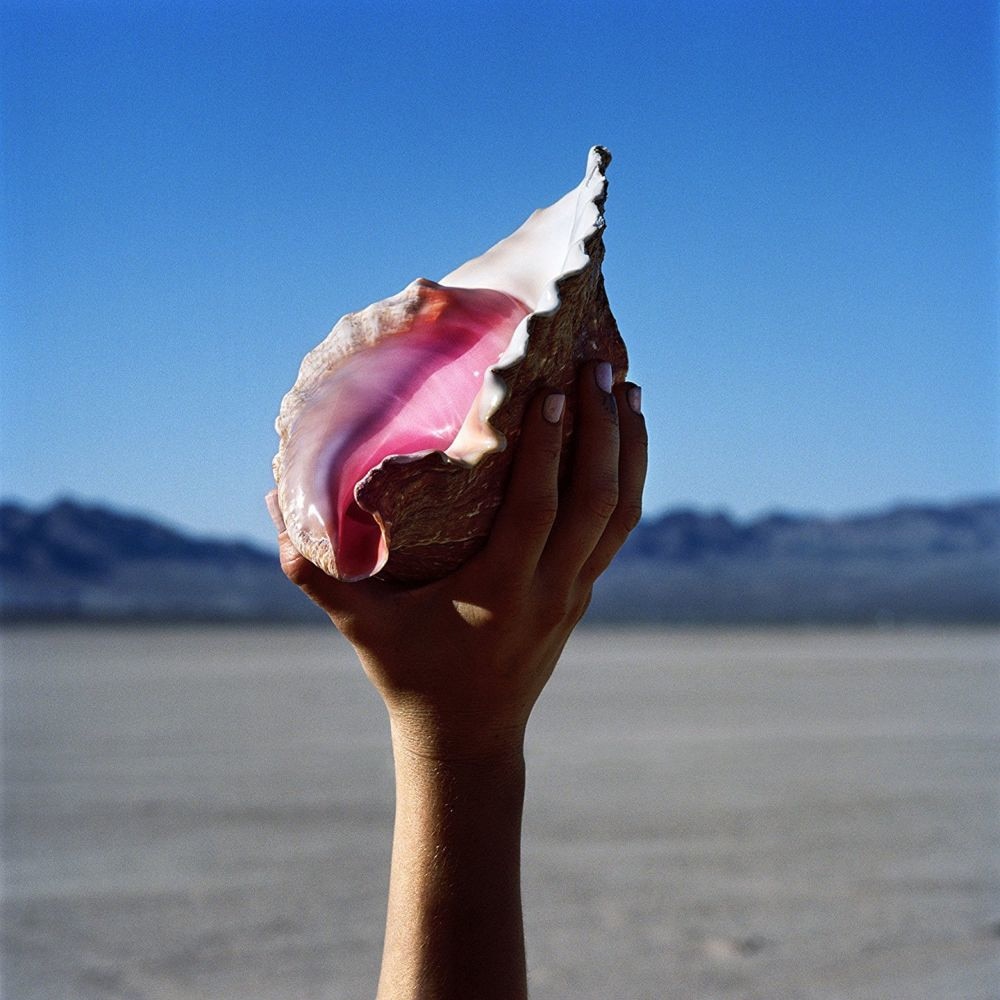 Killers The - Wonderful Wonderful (cd)