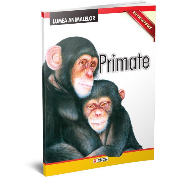Enciclopedie: Primate