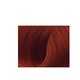 Vopsea de Par Lorvenn Professional Beauty Color Supreme Reds, Lorvenn,7.60, BLOND INTENSE FLAM RED, 70 ml