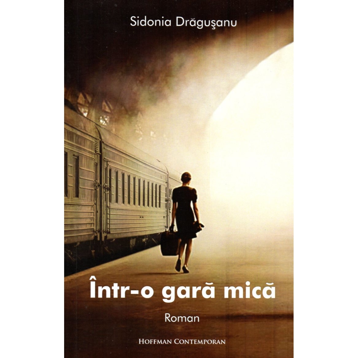 Intr-o gara mica - Sidonia Dragusanu