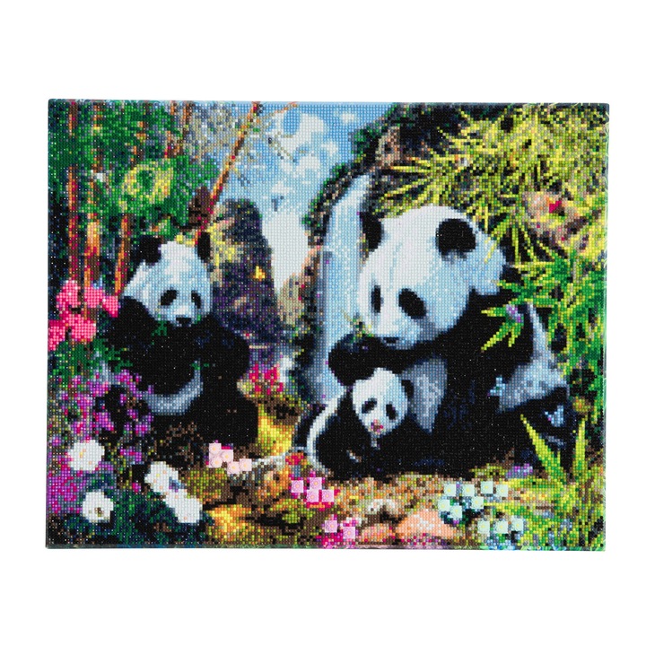 Set creativ tablou cu cristale, Crystal Art Panda Valley 40x50cm, Craft Buddy