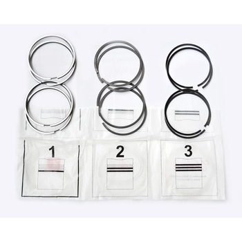 Set segmenti Dacia 1400 oe6001538417 Set segmenti Dacia 1400 oe6001538417