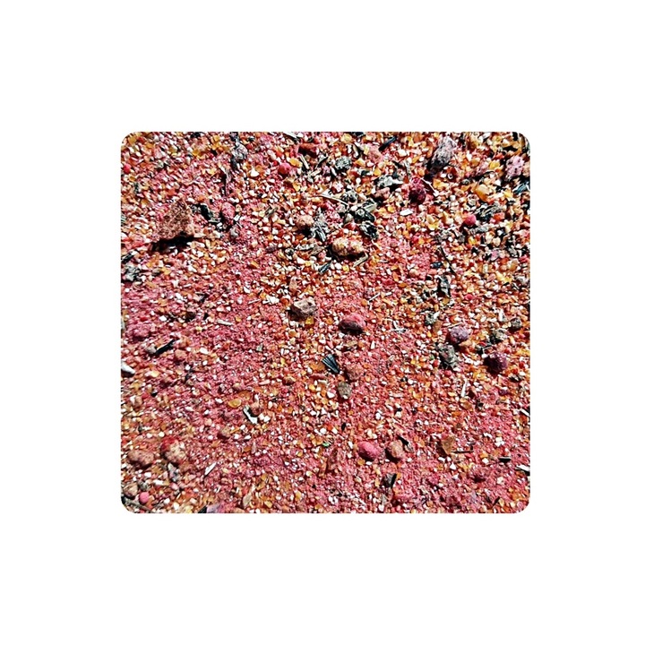 Nada pentru pescuitul crapului si pescuit stationar FeederMix Capsuna, 1 kg