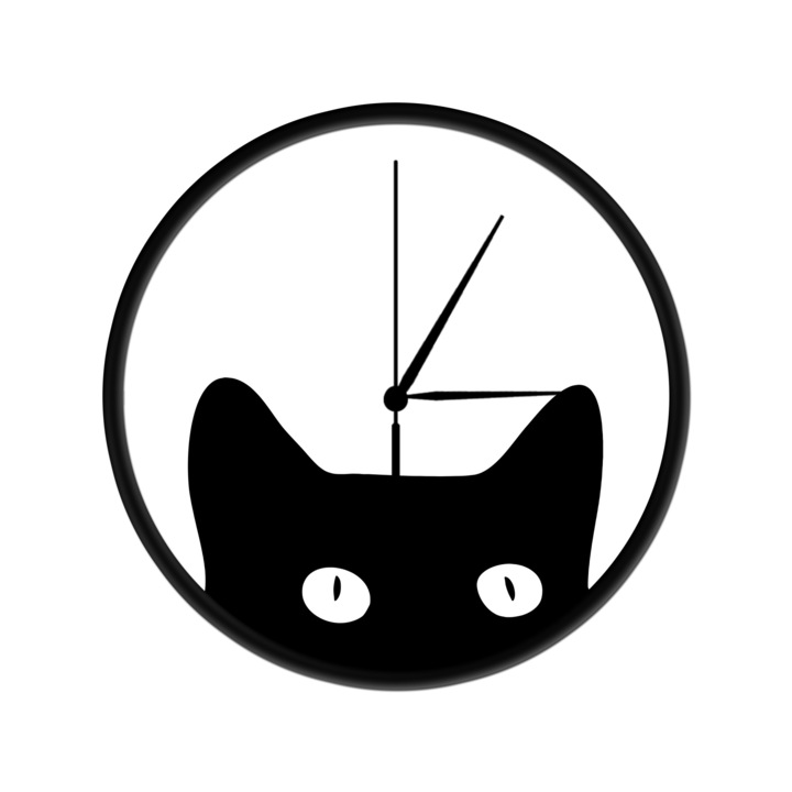 Fekete macska falióra