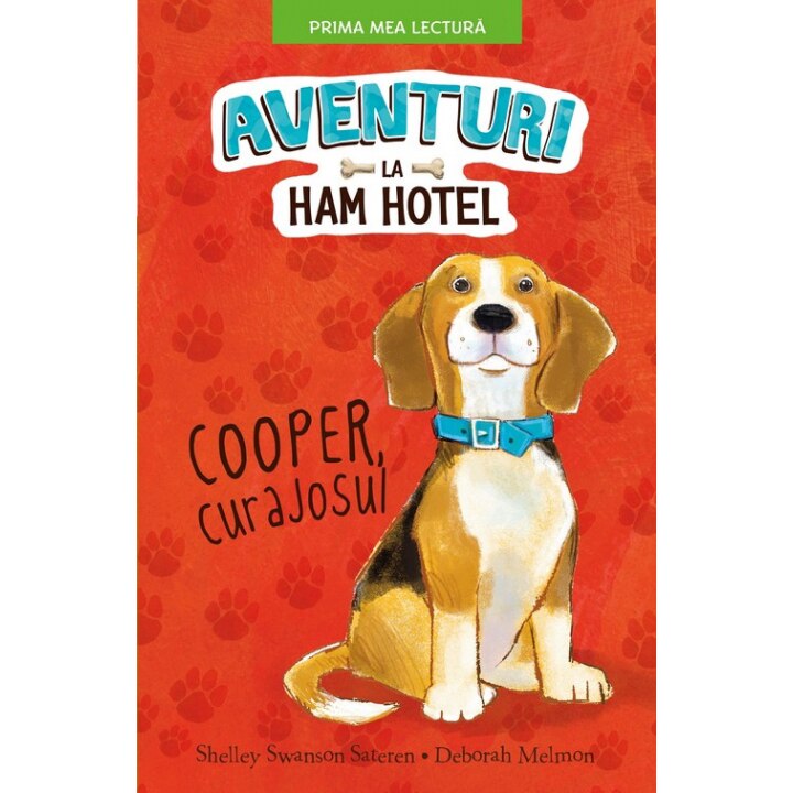 Aventuri La Ham Hotel. Cooper, Curajosul - Shelley Swanson Sateren