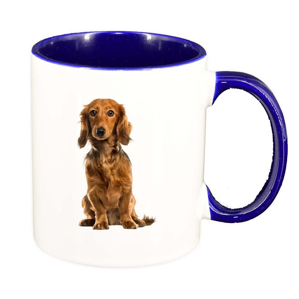 Cana Caine, interior albastru inchis, 330ml, D200