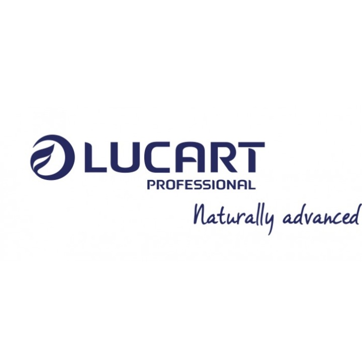 Hartie igienica mini jumbo, cu 2 straturi, Lucart Strong 19J Plus, 170m( Bax de 12 )