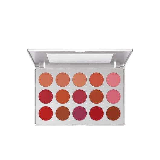 Set Profesional blush Kryolan 15nuanteX37.5G