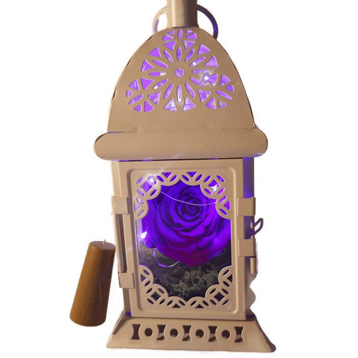 Trandafir criogenat mov, in felinar alb, iluminat cu leduri