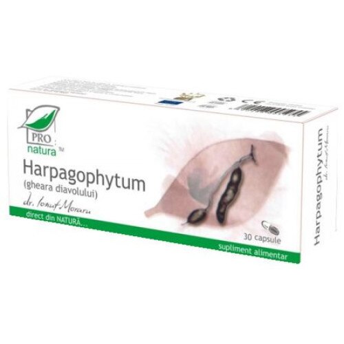 Harpagophytum (Gheara diavolului) 30 capsule Pro Natura