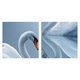 Tablou Canvas, 130x100 cm, Inima De Lebada, CB130x100-3541