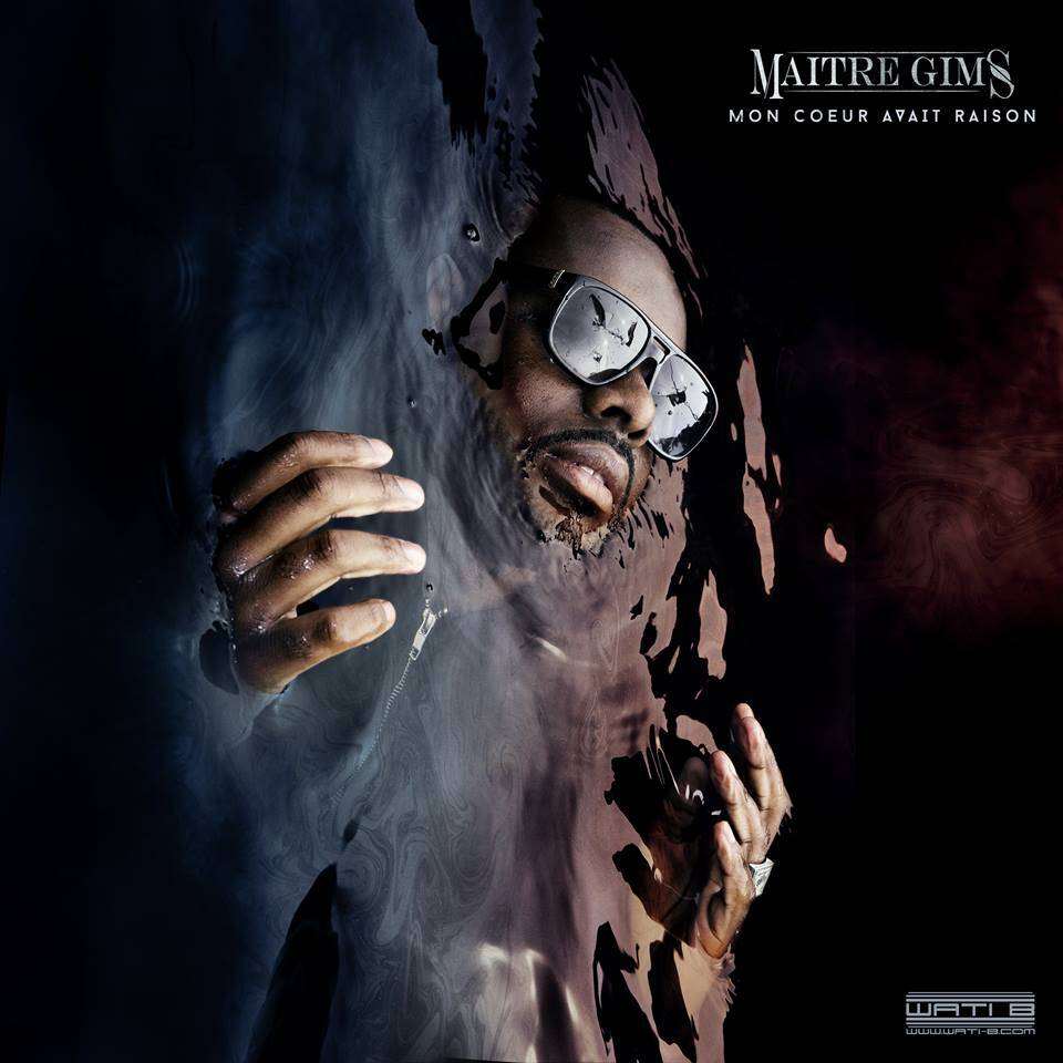 Maitre Gims Mon Coeur Avait Raison 2cd Emag Ro