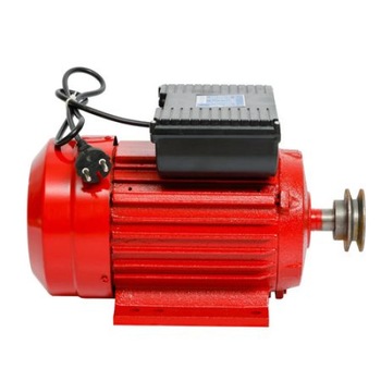 Motor electric 3.0 kw 3000rpm TROIAN ROSU, Bobinaj cupru, monofazic Motor electric 3.0 kw 3000rpm TROIAN ROSU, Bobinaj cupru, monofazic