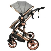 carucior 2 in 1 reversibil x-2 crocodile grey gold 0 36 luni imagen 54_1_
0