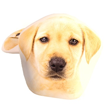 Perna decorativa copii Dog Perna decorativa copii Dog