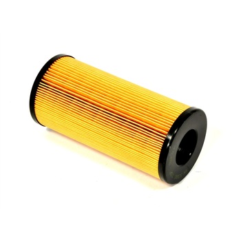 Filtru Combustibil 4224811M1 Filtru Combustibil 4224811M1