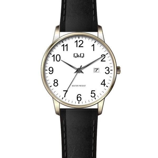 Ceas barbatesc Q&Q BL76J819Y