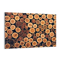 tablou pe sticla 70x50 cm butuci din lemn gaa70x50-3974 imagen 27_0_
0