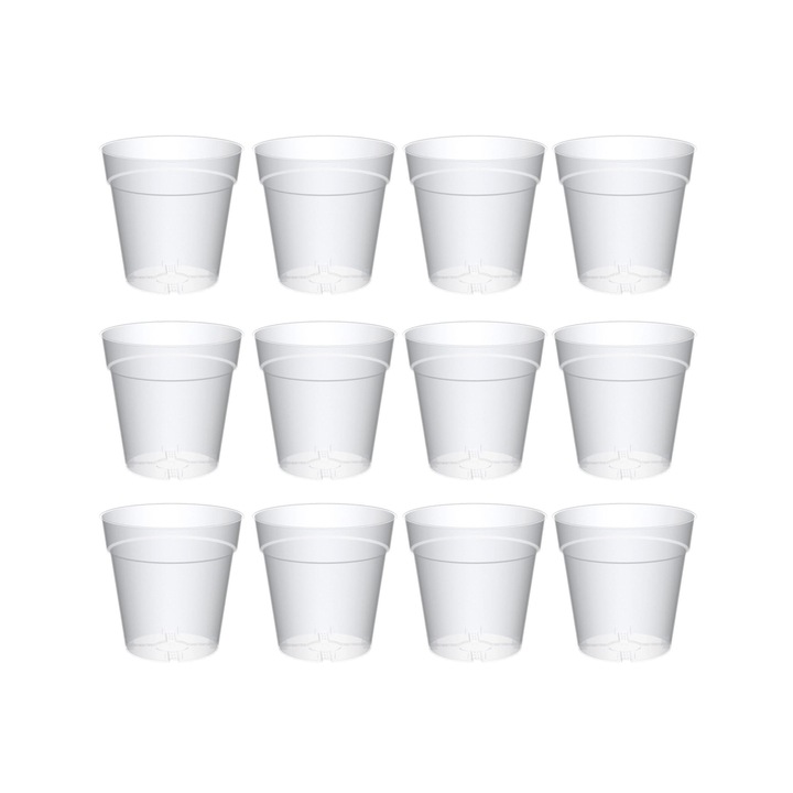 Set de 12 ghivece Madagascar 11cm transparente pentru orhidee