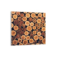 tablou pe sticla 60x60 cm butuci din lemn gac60x60-3974 imagen 29_0_
0