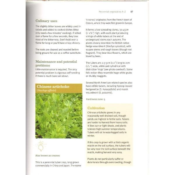 How To Grow Perennial Vegetables Emag Ro