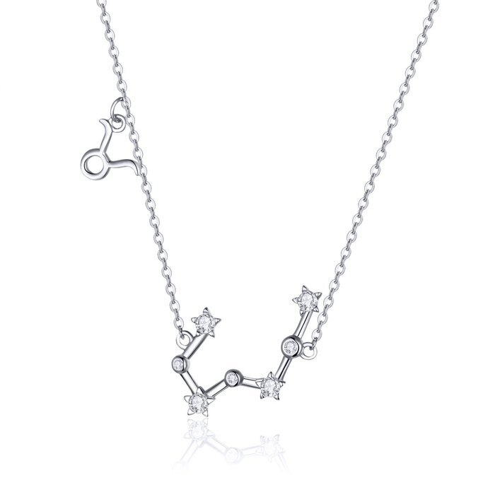 Colier din argint cu Constelatia Taur silver