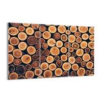 tablou pe sticla 165x110 cm butuci din lemn gce165x110-3974 imagen 45_0_
0
