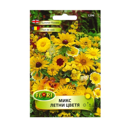 Coreopsis Galbene Toata Vara Flori De Curte Baiosu