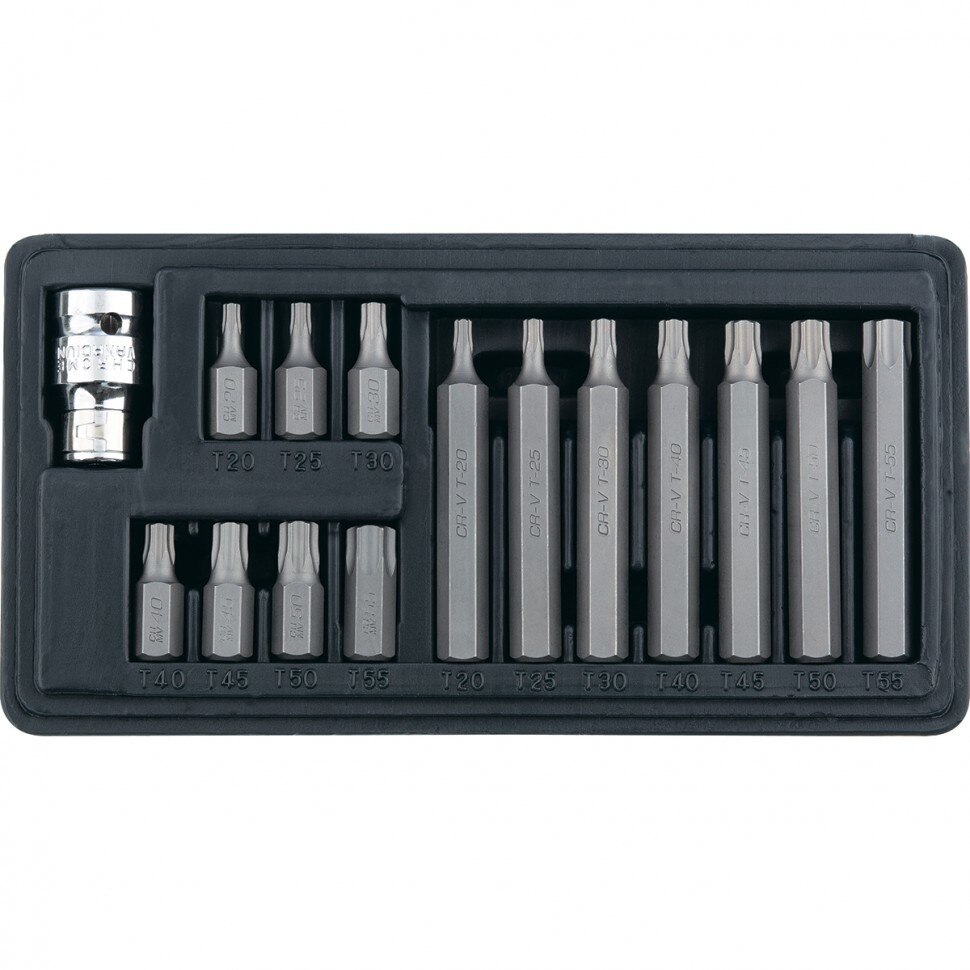 Set biti TORX, coada hexagonala, 10 mm, CrV, 15 piese, STELS