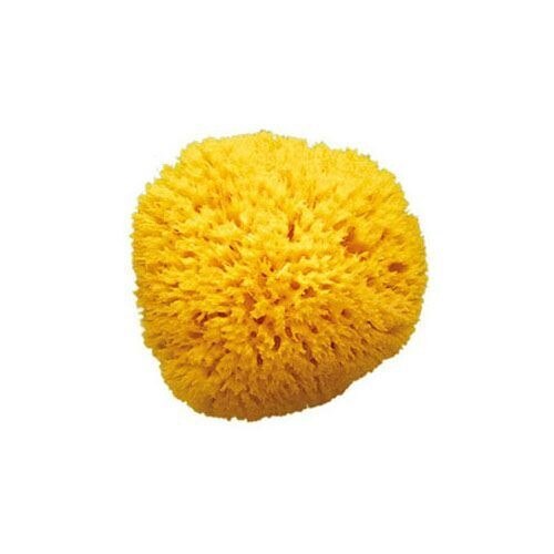 Burete natural fagure de miere-marime 10