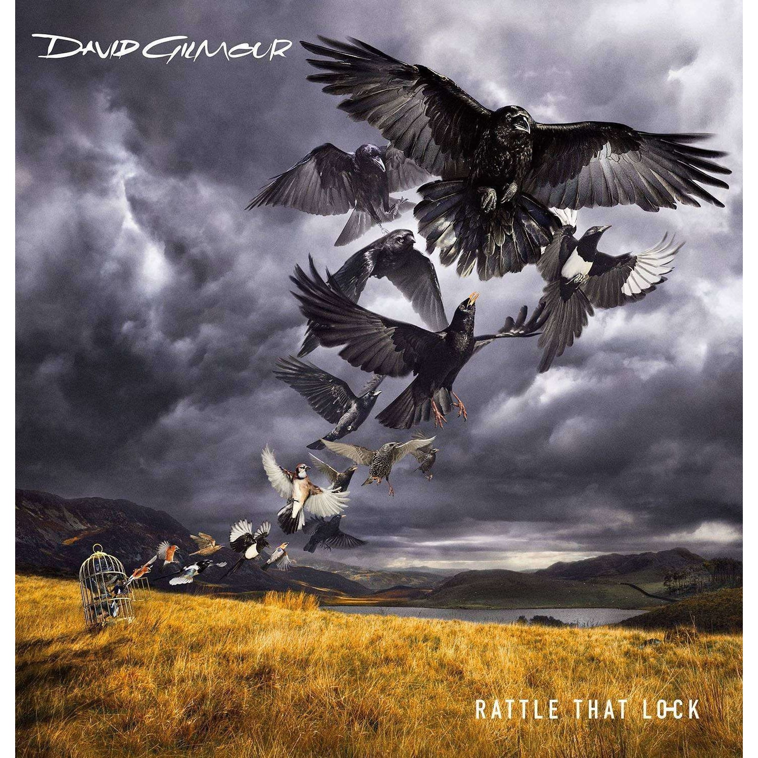 David Gilmour - Rattle that Lock (CD)