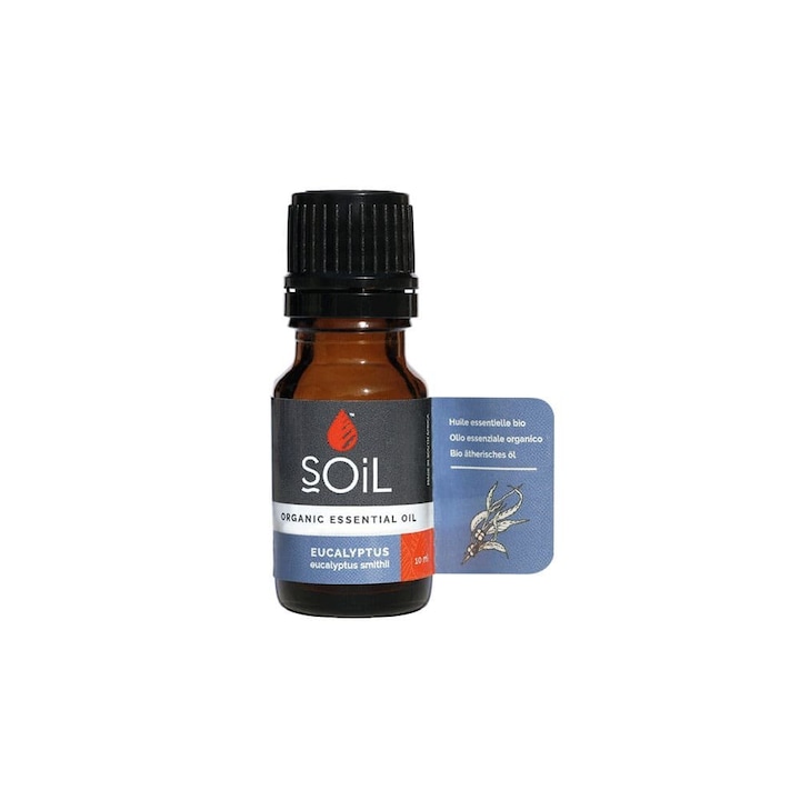 Ulei Esential Eucalipt Pur 100% Organic, 10 ml, SOiL