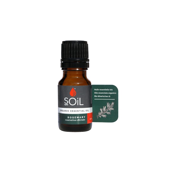 Ulei Esential Rozmarin (Rosemarinus officinalis), Soil, Uleiul memoriei, Pur, 100% Organic Ecocert, 10 ml
