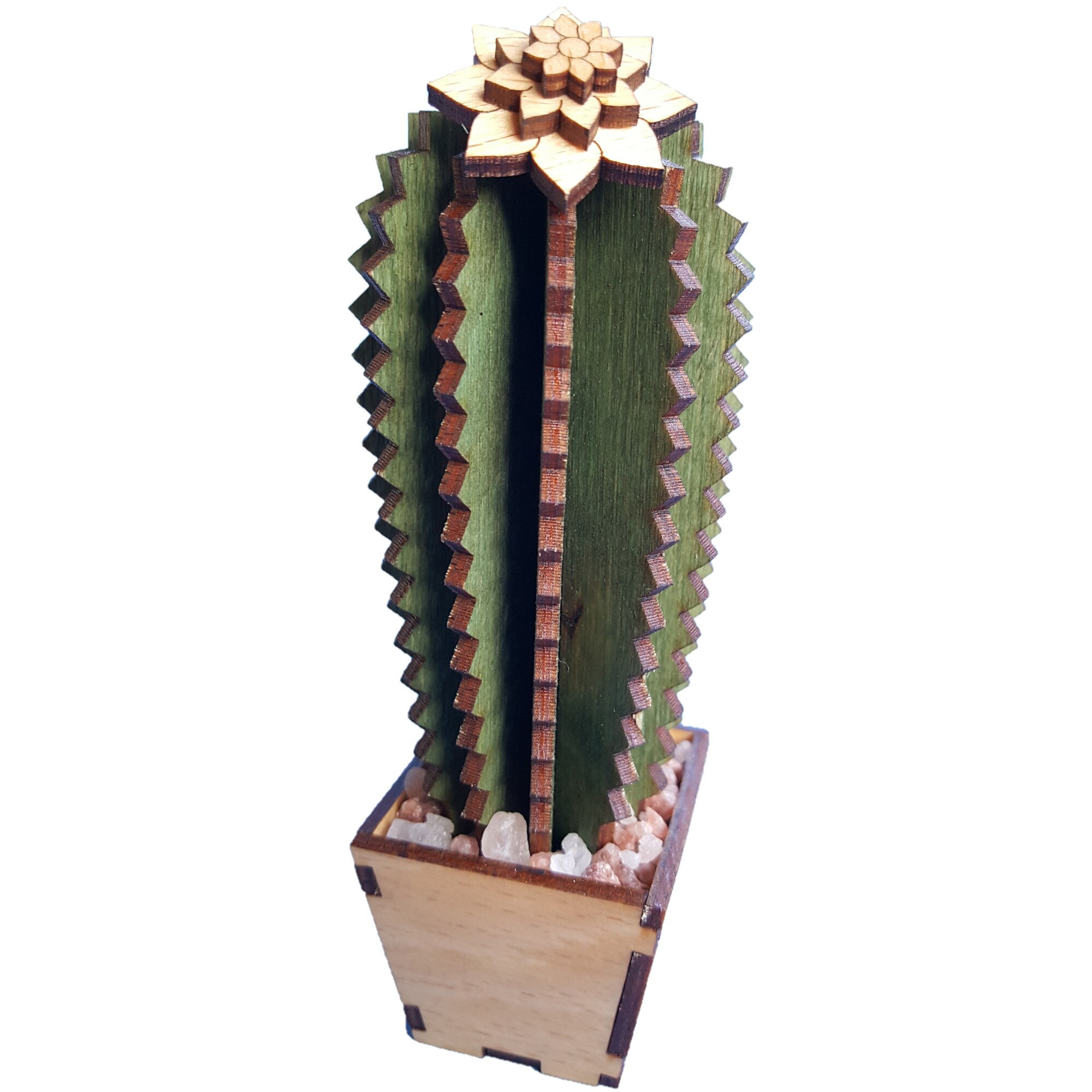 Floare Cactus ornamental, din lemn, cu sare roz de Himalaia IIi