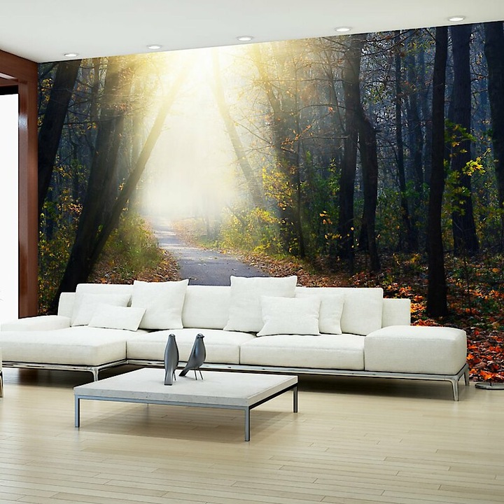Fotótapéta - Út az erdőn keresztül 1 350x245