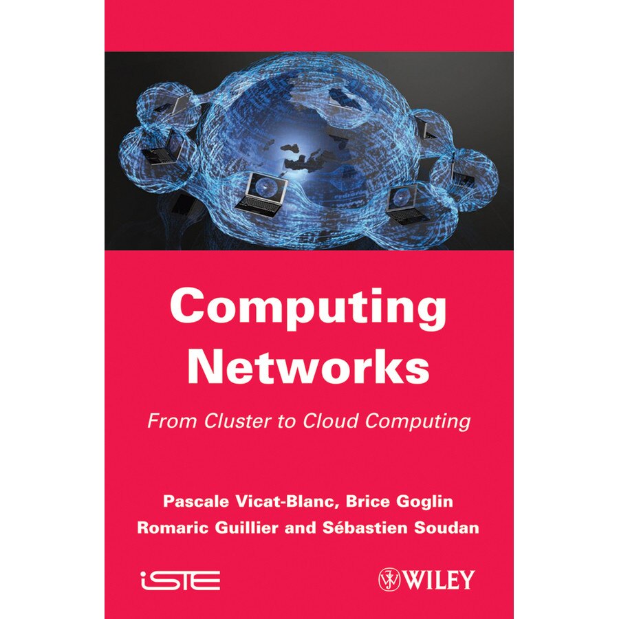 Computing Networks de Pascale Vicat/-/Blanc