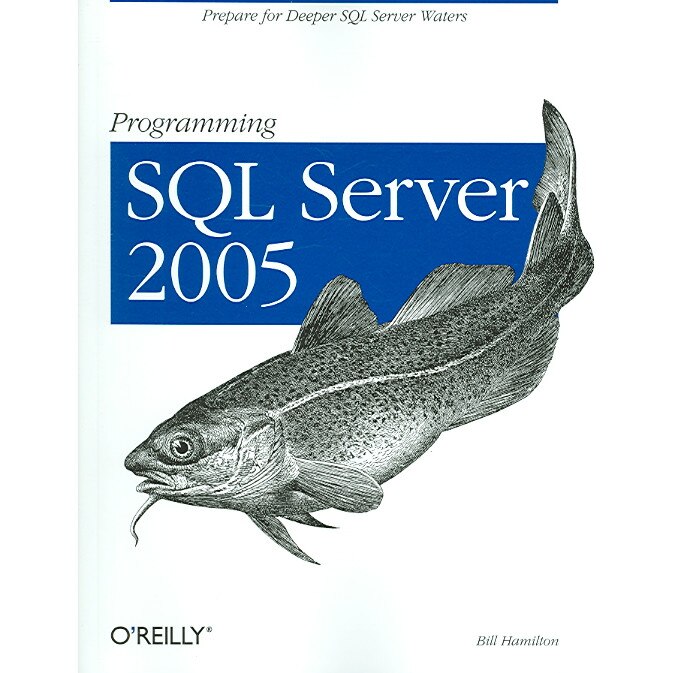 Programming SQL Server 2005 de William Hamilton