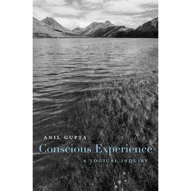 Conscious Experience /-/ A Logical Inquiry de Anil Gupta